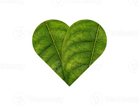 Green Heart Made Of Green Leaves Ecology Concept 43192849 PNG