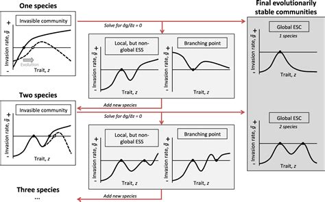 Figure 2 From Species Packing In Eco Evolutionary Models Of Seasonally