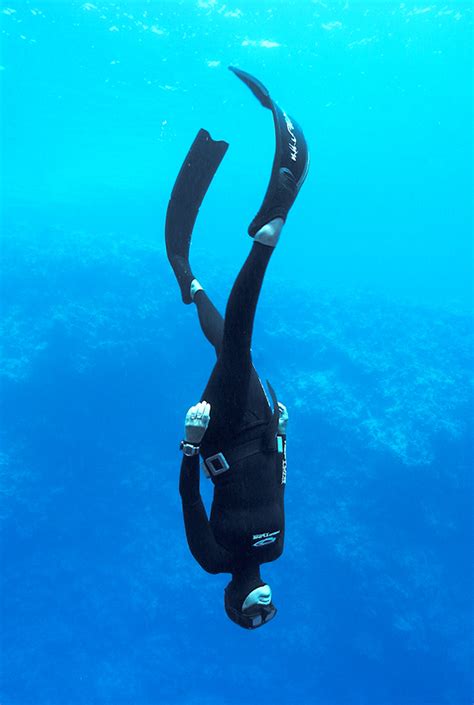 Is Freediving After Scuba Diving Safe Desertdivers