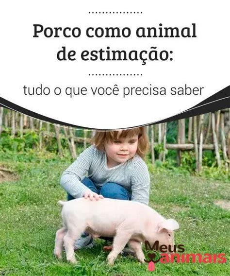 Porco como animal de estimação tudo o que você precisa saber Animal