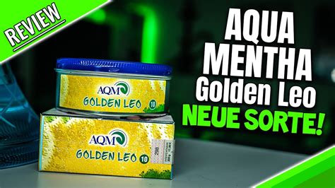 AQUA MENTHA GOLDEN LEO Neue Zitrone Von AQM YouTube