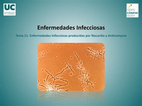 Pdf Enfermedades Infecciosas Tema 11 Enfermedades · Infecciones Relacionadas Con La