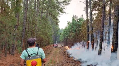 Incendios En Corrientes El Fuego No Se Detiene Y Amenaza Los Esteros