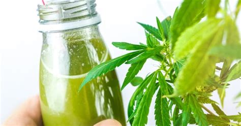 Liquid THC Drinks: A Guide for Cannabis-Infused Beverages