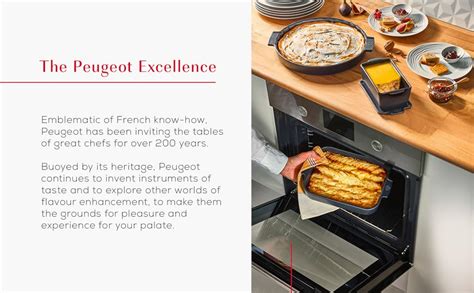 Amazon Peugeot Appolia Individual Petite Square Oven Baking Dish