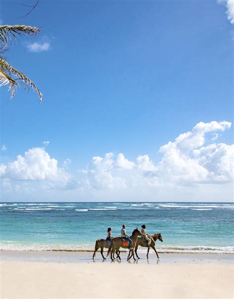 Barbados Travel Guide 2023 by Outlook Publishing - Issuu