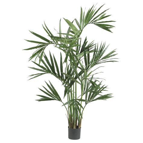 Earthflora Stylish Faux Kentia Palms 6 Feet Kentia Palm Tree