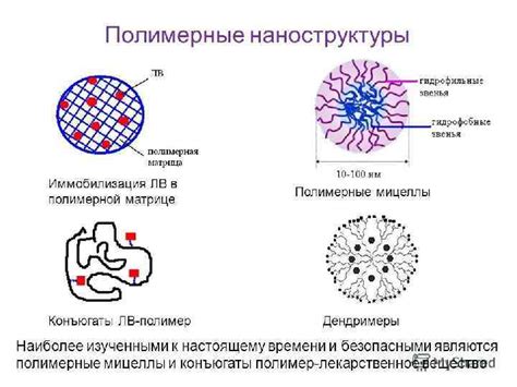 Нанобиотехнологии Полимерные мицеллы 6 курс МБФ Дариенко Кристина
