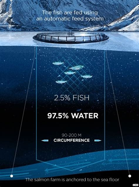 巨大なノルウェーサーモンの養殖施設を調べてみた Umito®