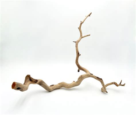 Manzanita 25 Branch Driftwood Decor Large Aquarium Centerpiece