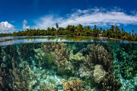 The Most Spectacular National Parks In The Dominican Republic