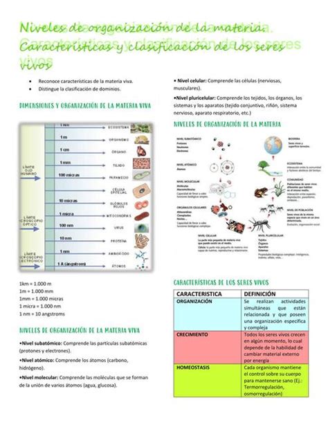 Grado Sexto Actividad Clasificacin De Los Seres Vivos The Best Porn