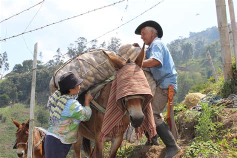 Los desafíos de la agricultura campesina familiar y comunitaria en el