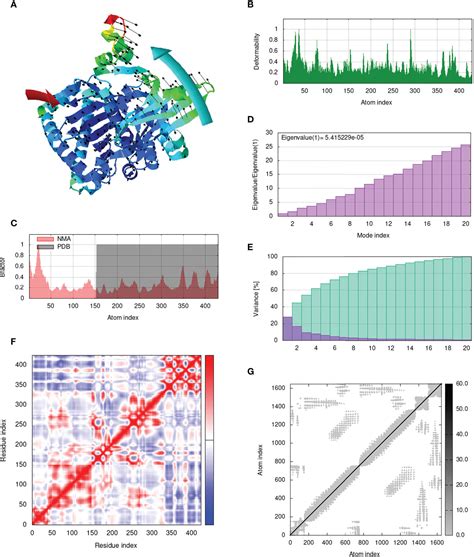 Frontiers Immuno Informatics Profiling Of Monkeypox Virus Cell