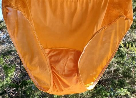 Shadowline Floral Lace Bikini Panty Shiny Nylon X Gem