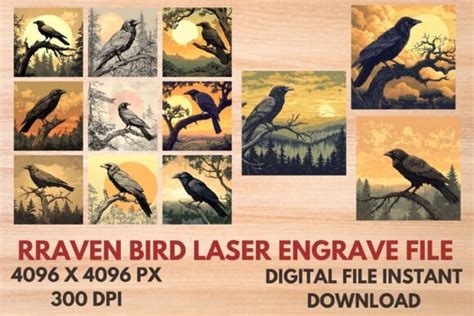 Raven Bird Laser Engrave File Graphic By SVG24 Creative Fabrica