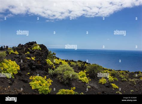 Volcán paisaje paisaje de lava al sur de Cabo de Punta de Fuencaliente