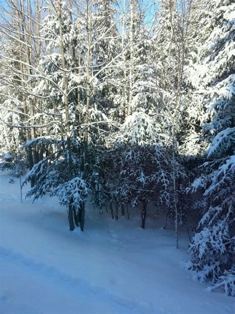 Maine snow fall | Maine snow, Scenery pictures, Winter scenes