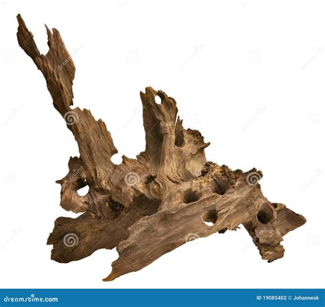 Driftwood For Aquarium Stock Photography - Image: 19085402