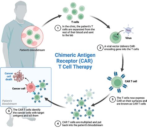 Frontiers Car T Cells Neurotoxicity From Consolidated Practice In Hematological Malignancies