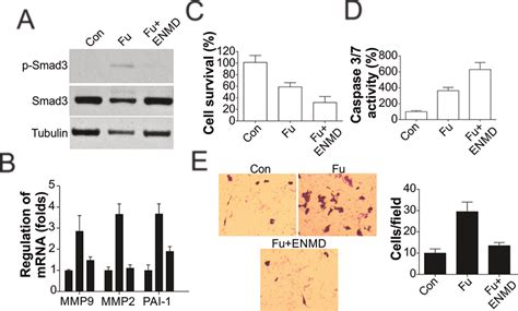 Par2 Inhibition Produces Similar Effects As Par2 Depletion A Hct116