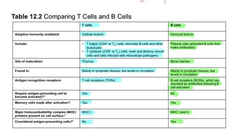 Microbiology Chapter 12 Adaptive Immunity Flashcards Quizlet