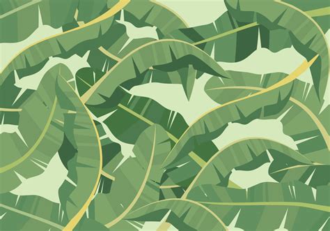 Banana Leaf Background 245924 Vector Art At Vecteezy