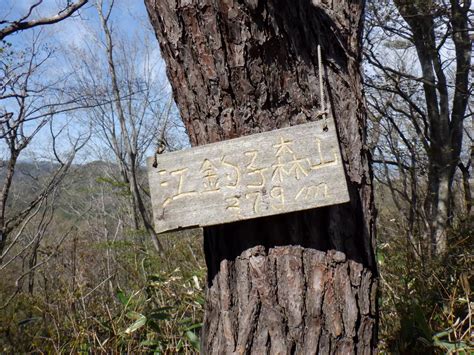 円万寺観音山・江釣子森山（花巻市） とおりすがりさんの万寿山・六郎山・台羽山の活動データ Yamap ヤマップ