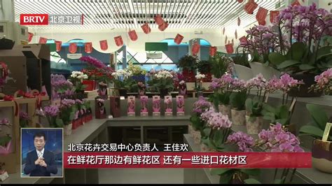 500万盆年宵花今起上市 北京最大花卉交易中心开门迎客 凤凰网视频 凤凰网