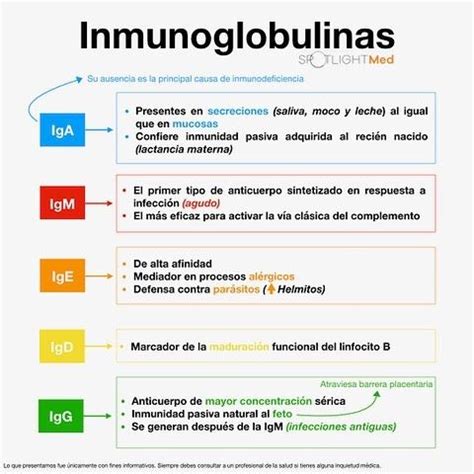 Tipos De Inmunoglobulinas Spotlightmed Spotlightmedicine Spotlight