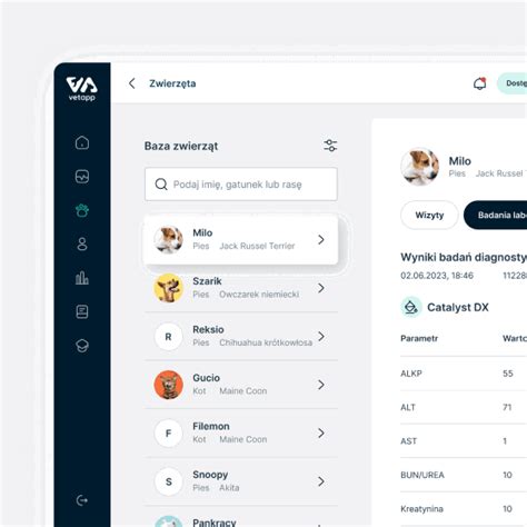 Vet