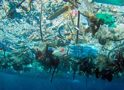 Aparece En El Pacífico Una Nueva ‘isla De La Basura El Siglo De Torreón