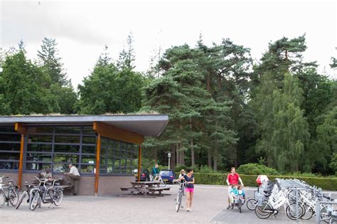 Pedaling the Bike Trails of Hoge Veluwe - Reflections Enroute