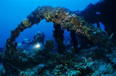 Karibik Kuba Tauchen Unterwasser Santa Lucia55 Nautilus Tauchreisen