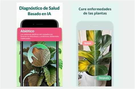 Las Tres Mejores Aplicaciones Para Cuidar Plantas En El Hogar Red Acci N