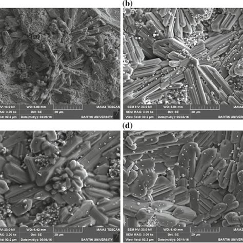 Top Surface Micrograph Of Ysz Tbc And Conicraly Bond Coat Produced By