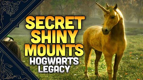 You Can Get A Shiny Mount In Hogwarts Legacy Look At These Shiny