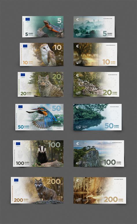 Redesigned Euro from the Fictional Hungarian Banknote Series - Brick Visual