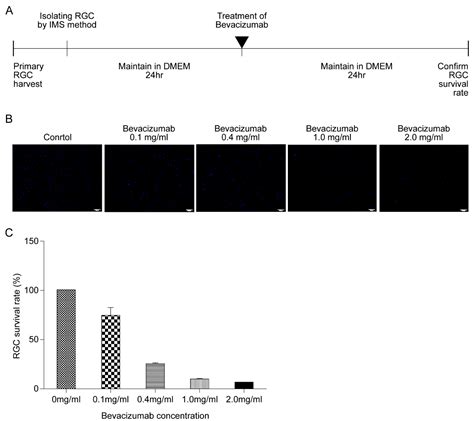 Biomolecules Free Full Text Effects Of Hypoxic Preconditioning And