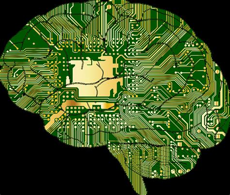 Define Cognitive Psychology: Meaning and Examples