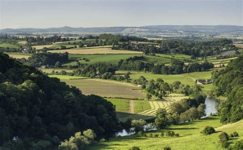 Savills Global Farmland Earning Potentials And Farmland Values