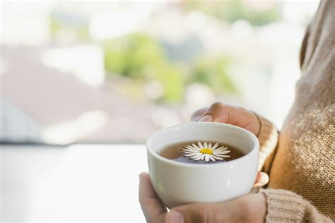 How to Prepare Chamomile Tea Properly: Step by Step - BigThreeTea