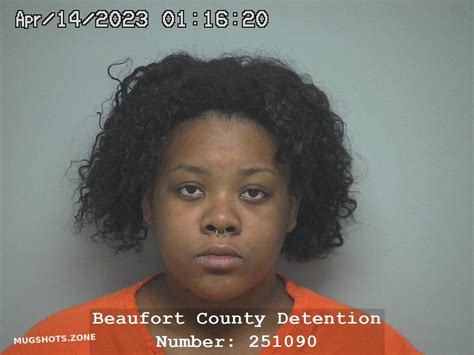 Nyasia Brianna Stevenson 04 14 2023 Beaufort County Mugshots Zone