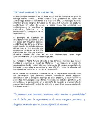 Np Proyecto Cpnservacion Tortugas PDF Descarga Gratuita