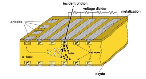 Esa Science And Technology Silicon Drift Detector Electrical Structure