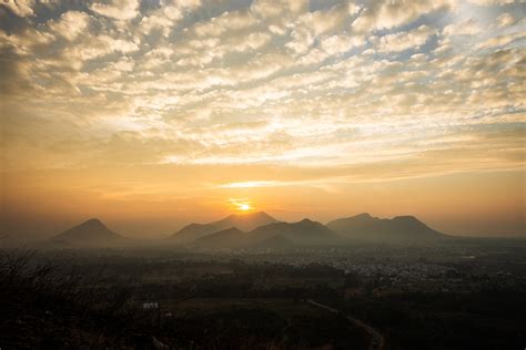 Sunrise on a Flower Field · Free Stock Photo