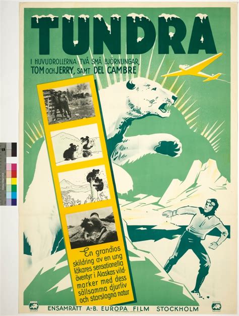 Tundra 1936 Sfdb