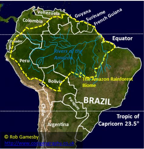 Living World Causes Of Deforestation In The Amazon Rainforest Clf