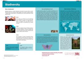 Biodiversity Poster | Teaching Resources