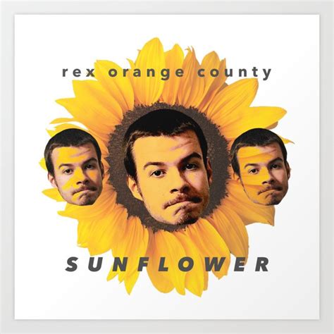 Rex Orange County Sunflower Art Print By Skylar Society6